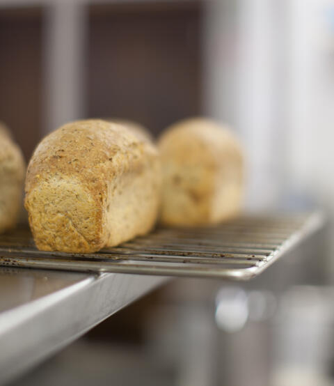 Home made Bread - huis gebakken brood - spelt - Waldkorn - hotelbroodjes